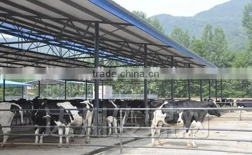 Cow feed house
