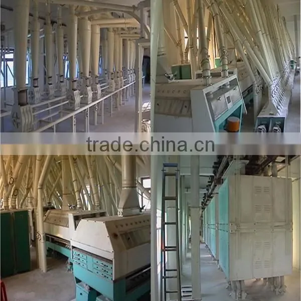 small to large scale total solution for wheat flour wheat production line