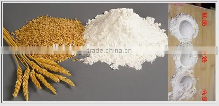 Steel frame structure 500TPD wheat flour milling machines with price