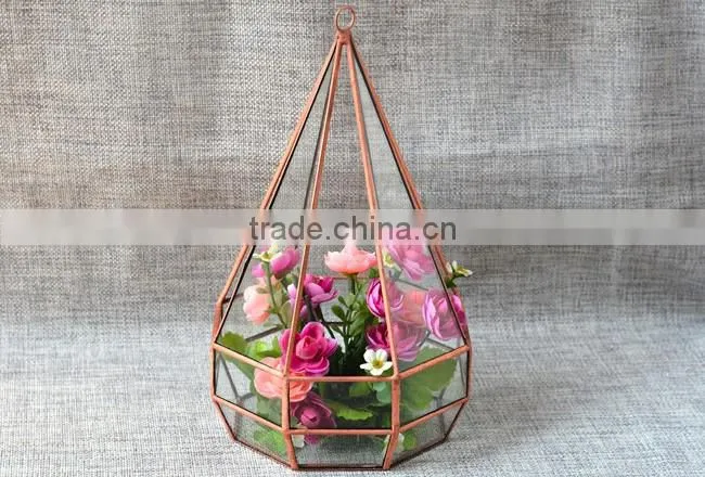 Indoor plant glass terrarium micro landscape glass greenhouse