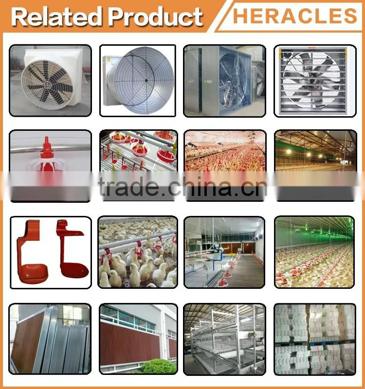 Factory hight quality galvanized poultry farm materials on sale