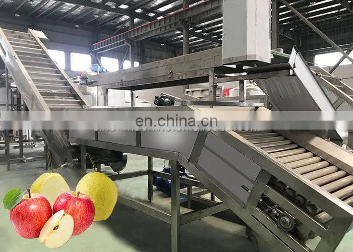 Small Automatic Fruit Pineapple Orange Juice Juicer Maker Processing Production Line