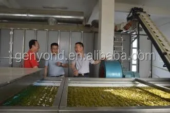 Raisin Cleaning Machine for the Raisin Processing