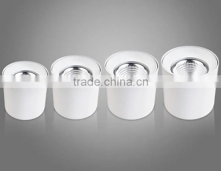 High Quality IP44 Indoor Using CREE Chips Lifud Driver Surface Mount Adjustable 20W 30W COB LED Round Downlight