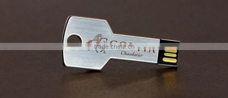 Promotional usb stick key 1gb