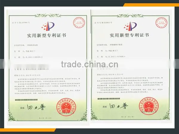 Leader stainless steel longan fruit processing line with CE & ISO