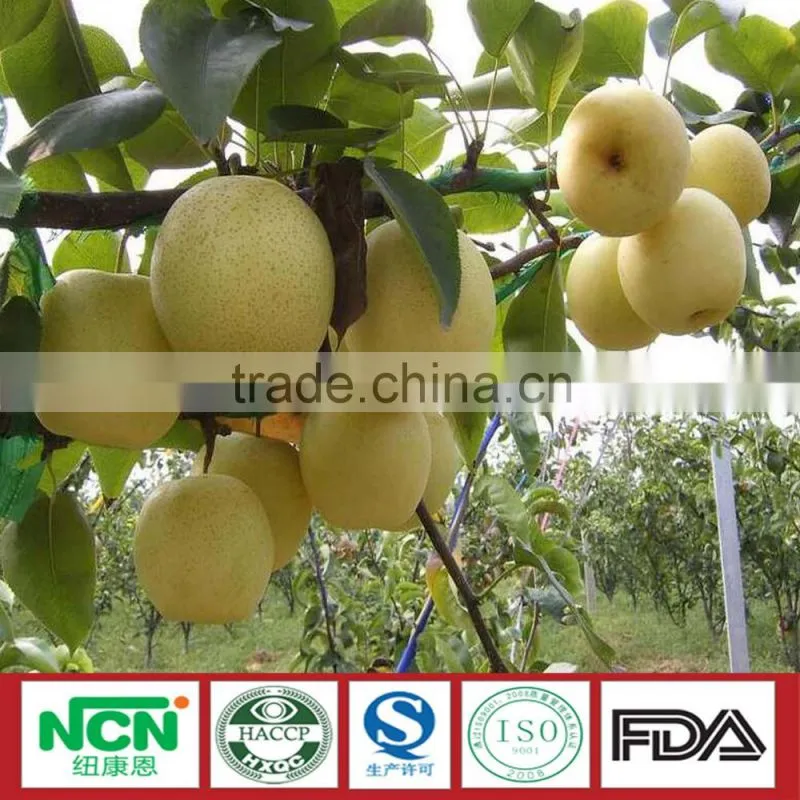 2016 Fresh Grown pear