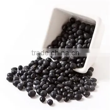 our factory supply best price black bean powder high quality