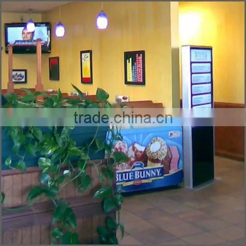 42 Inch Plug&play Digital Signage System