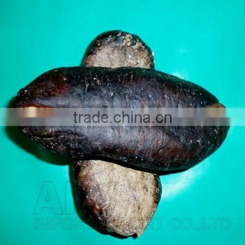 Sea Cucumber Vietnam, Pomegranate Fish, Actinopyga Lecanora