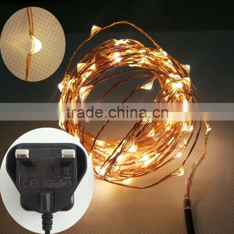 6M LED rice lights with 4 customerized plug adapter
