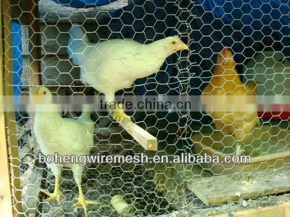Boheng Hexagonal wire mesh for poultry fence