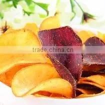 Screw/Shell/Chips/Pellet Extruding&Frying Extruder Machine