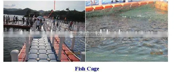 floats and swimming pools
