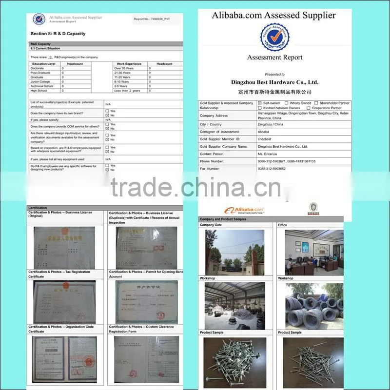 flat roofing nail type