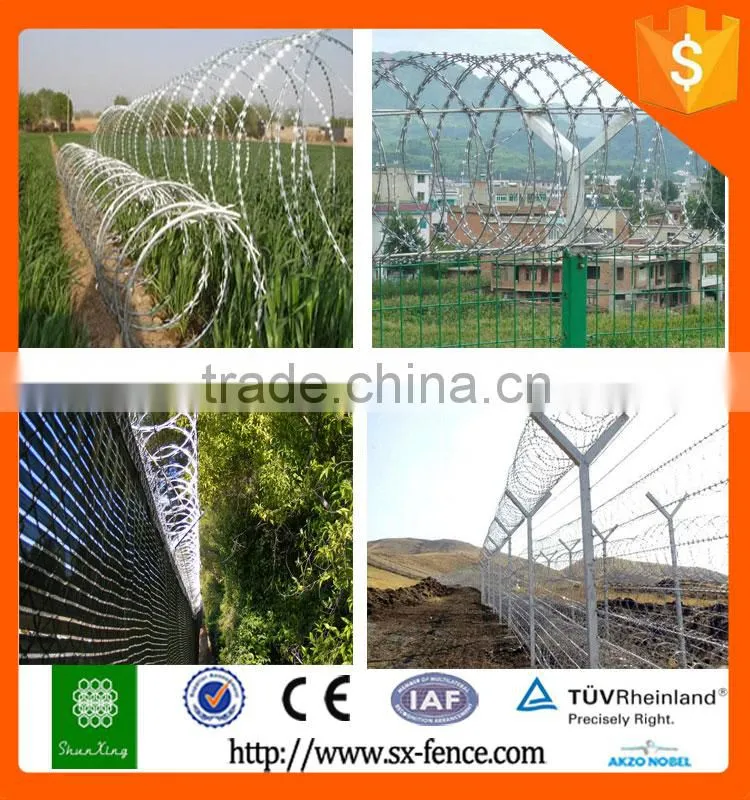 Alibaba diamond razor wire mesh fence/welded wire mesh fencing/pvc coated razor barbed wire