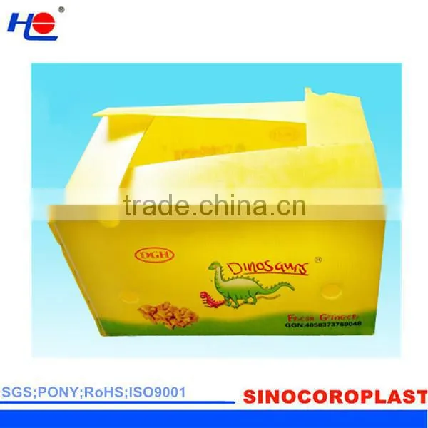 PP Corrugated Plastic Fluted Ginger Box