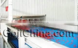 Ningxia Qixiang Biologic Foodstuff Co., Ltd. company overview - view 1