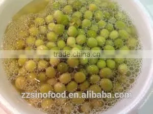 Canned Lychees in Metal Tins Canned Fruit