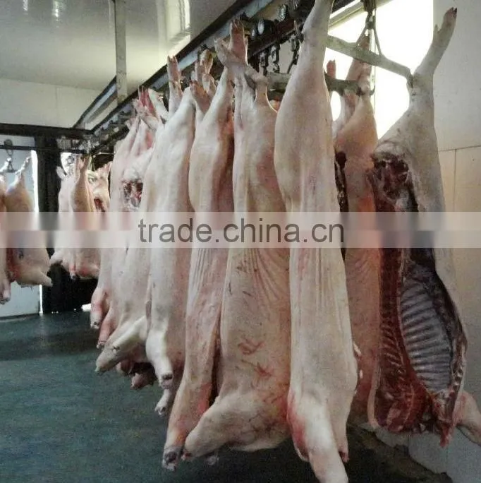 pig dehairing machine/pig hair removal machine /pig hair removing machine