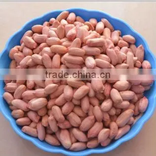 chinese long type ISO9000 and HACCP blanched peanuts 25/29