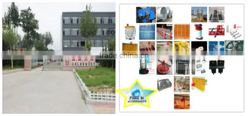 Goldenest Automatic bird nest / chicken nest boxes for laying hens sale