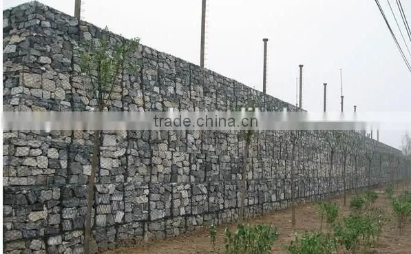 Gabion hexagonal wire mesh box