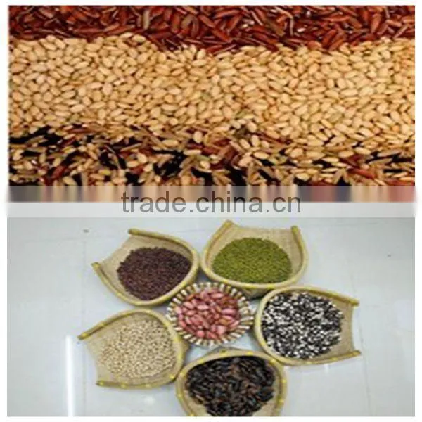 Lowest price chilli grinder machine with best service