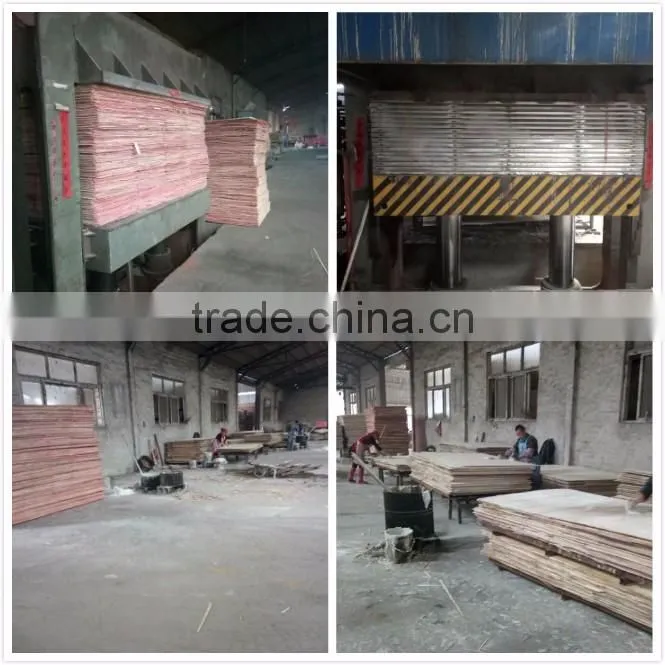 Natural venner plywood for furniture or decoration with competitive price!