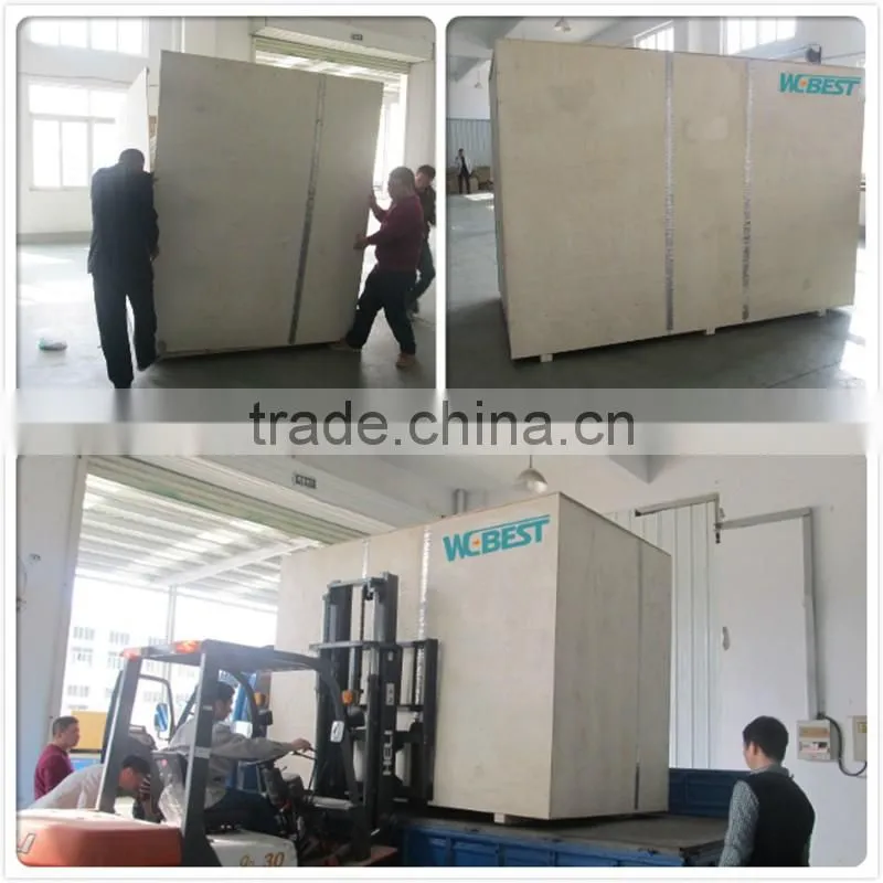 Agriculture Grading Equipment Wolfberry Color Sorter