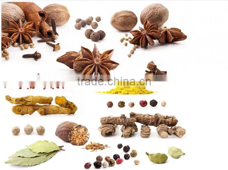 Aronia Melanocarpa Fruit Drying Machine