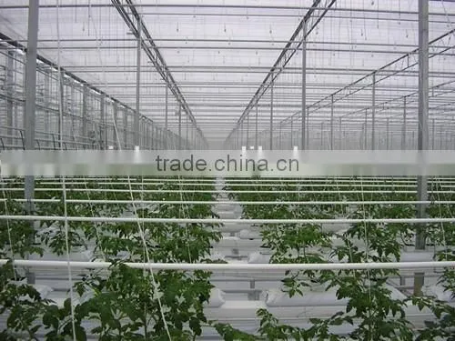 New Arrival Aoci Clear Color 8mm PC Sheet Greenhouse