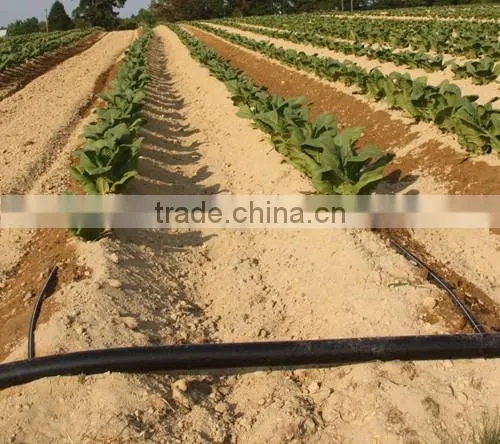 8209 12mm diameter agriculture irrigation PVC drip tape with good quality