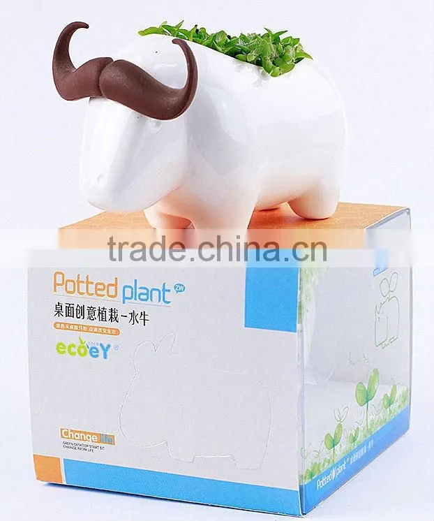 Supply fashion Creative animal plant - rhinoceros