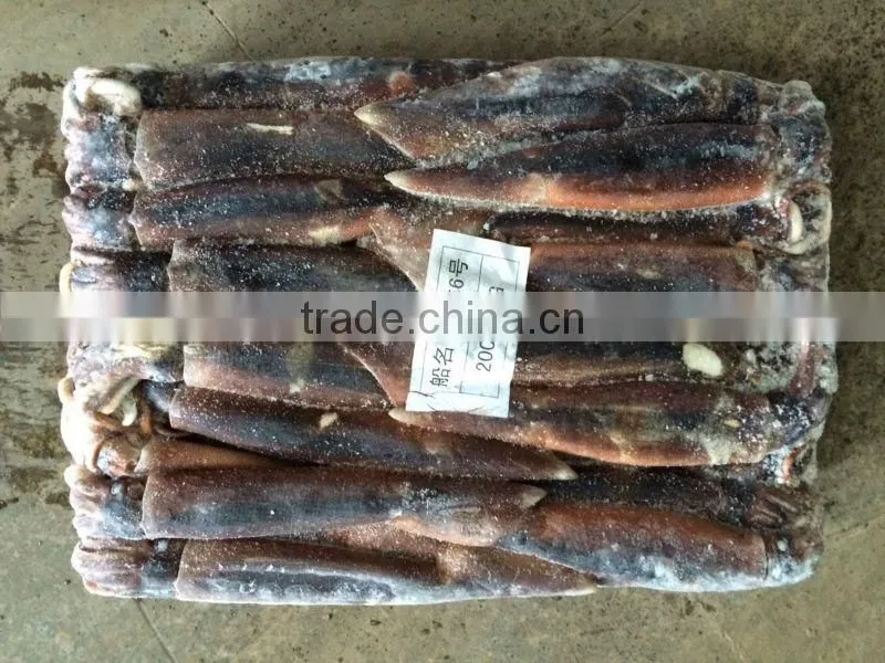 Top Quality Frozen Illex Squid