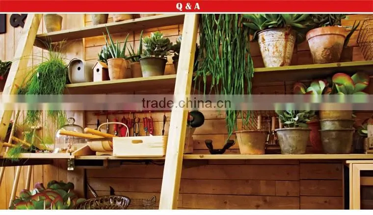 Mini garden tools include garden fork, garden trowel, transplanter, weeder
