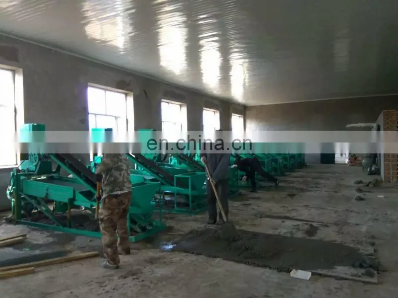 automatic almond sheller pine nut cracker machine