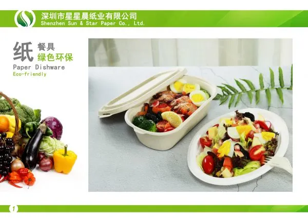 Shenzhen Sun & Star Paper Co. Ltd. company overview - view 2