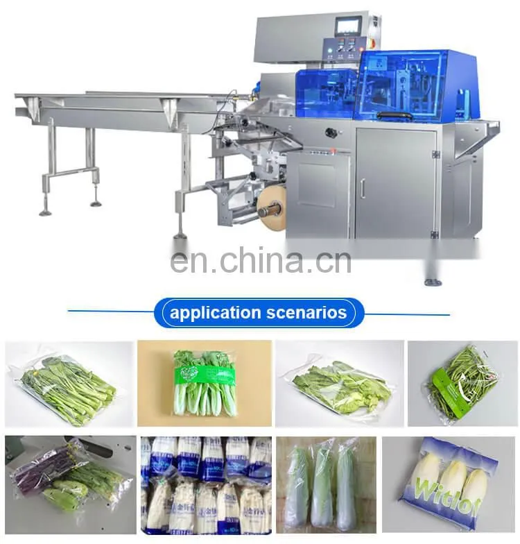 China manufacturer vegetable horizontal pillow packaging machine