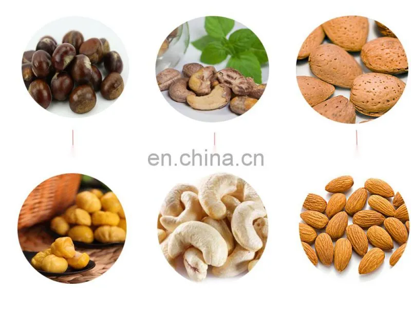 Automatic macadamia pili hous cashew pine auto hard nut cracker machine