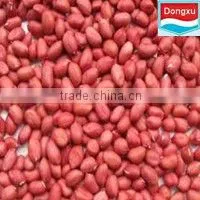 groundnut kernels peanuts