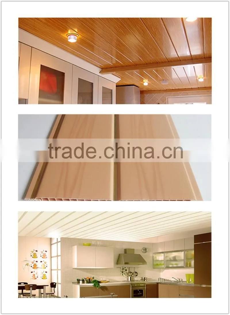 Delicate PVC Ceiling Panel Mould
