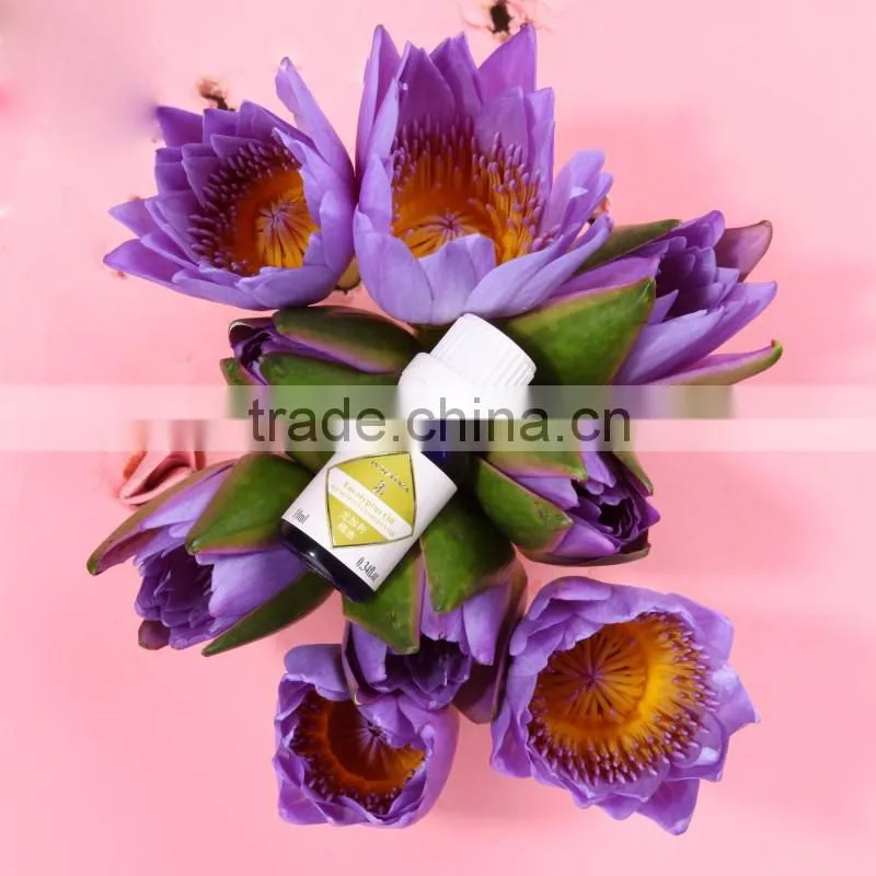 Widely Use 100 Pure Eucalyptus Oil Eucalyptus Globlus Oil