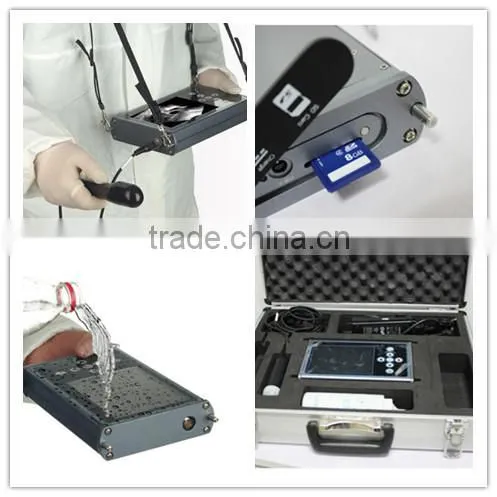veterinary equipment for equines