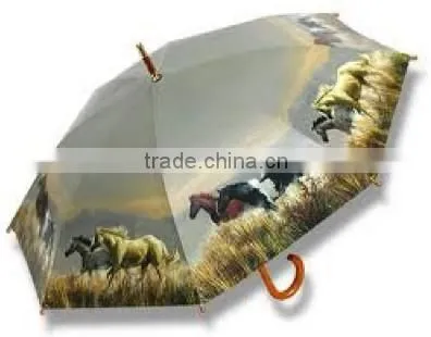 23 inch automatic craft horse wooden shaft umbrella