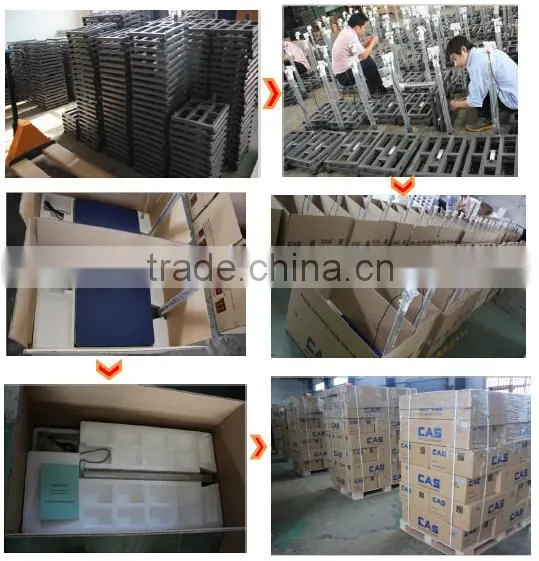 PW-I 600kg capacity weighing polo scales