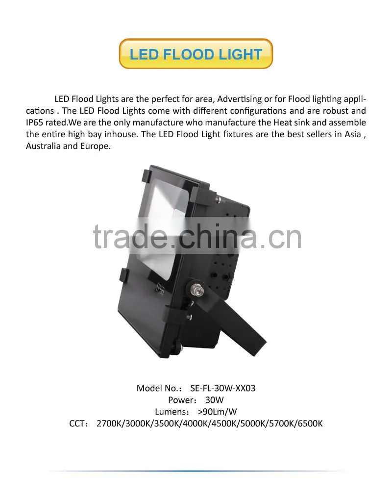 CE ROHS Listed 30W LED Flood Light
