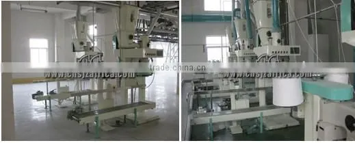 7000T Grain storage steel silo