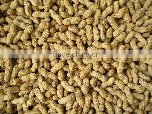 Washed Peanut in Shells 2012 crop