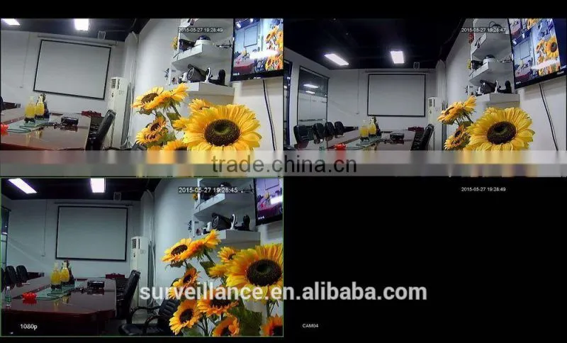 Newsurway Security Car Camera Home Monitor P2P Network IP Camera 60M IR Onvif POE HD 1080P 2MP WiFi IP Camera